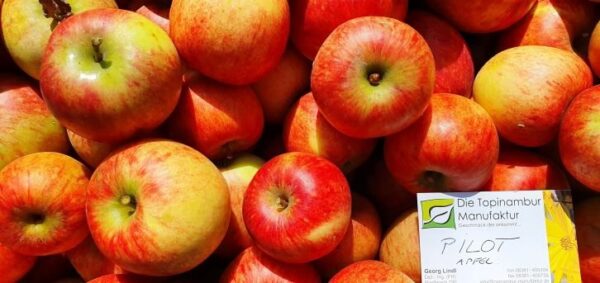bio-apfel-schmackhafte-knackige-i-detailansicht